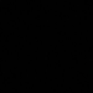 Meet your Posher, Mason